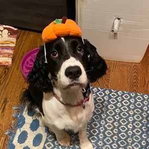 Meet your Posher, Carson